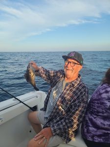 Fishing OC Waters: Black Sea Bass!